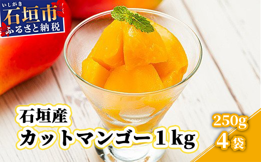 YK-6 石垣産カットマンゴー１ｋｇ（２５０ｇ×４袋）