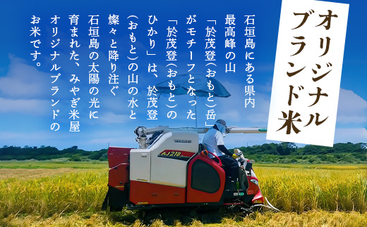 【令和6年産新米！】石垣島産 於茂登(おもと)のひかり 10kg みやぎ米屋【 日本一早い新米の産地 お米 産地直送 旬 しきゆたか 沖縄県 石垣市 送料無料 】MK-2