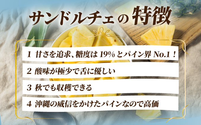 ãå
è¡äºçŽãã2025幎å€å£ é æ¬¡çºéããèš³ãããç³å£å³¶ç£ ãµã³ãã«ãã§ãã€ã³ çŽ3.5ã4kgãçãæé«ãã€ã³ã®ãèš³ãããã®å€§å°æ··åã»ãããSI-28