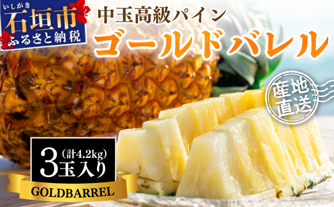 【先行予約】石垣島産 中玉ゴールドバレル３玉 合計約4.2kg《2025年夏季 順次発送》【 沖縄 石垣 パイン パイナップル フルーツ くだもの 果物 産地直送 】SI-114