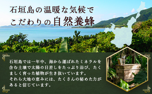 石垣島はちみつ 蜂蜜コスメお試しセット（保湿ケア）【 石垣島 石垣 沖縄 はちみつ ハチミツ ハニー 蜂蜜 コスメ 化粧品 化粧水 バーム 石鹸 しっとりローション 】HC-7