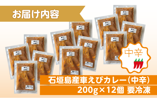 石垣島産車えびカレー（中辛）【冷凍 12食】石垣島のカレー専門店が作るご当地カレー　SK-3