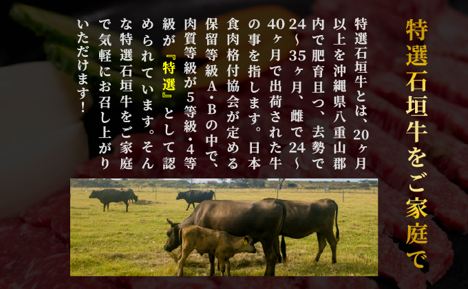 【2026年2月以降順次発送】希少な特選石垣牛をご家庭で！！ヒレ＆サーロインステーキ、特選サーロインしゃぶしゃぶ用の贅沢の極セット合計700g | 沖縄 石垣 特選 牛 肉 ヒレ サーロイン ステーキ しゃぶしゃぶ 贅沢 真空 冷凍 | IM-70