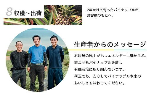 ãäºçŽåä»ãç³å£å³¶ç£ãææ©ãã€ãããã«ã»ããŽãŒã«çš® 3çïŒçŽ2.8kgååŸïŒãåžžæž©ããïŒæäžæ¬ïœé 次çºéäºå®ãïœãã€ãããã« ãã€ã³ã¢ããã« ç³å£å³¶ãã€ã³ ãã«ãŒã æç© ãã ãã® ååœãã«ãŒã åœç£ãã€ã³ãE-41