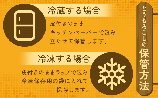 【予約受付】スイートコーン すいーとかよちゃんファームのとうもろこし 10本《2025年1月中旬～5月末順次発送予定》【 沖縄 石垣 野菜 やさい コーン 甘い トウモロコシ コーン 産地直送 】KF-1