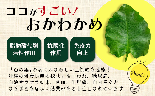 沖縄の健康長寿の秘訣「琉球百薬（おかわかめ）」10袋と旬のおまけ野菜詰め合わせ！農薬を使わない栽培方法を続けるミネイさんの野菜【 沖縄 石垣島 石垣島産 野菜 セット 詰合せ 農薬不使用 離島のいいもの 沖縄のいいもの石垣島 】OI-24