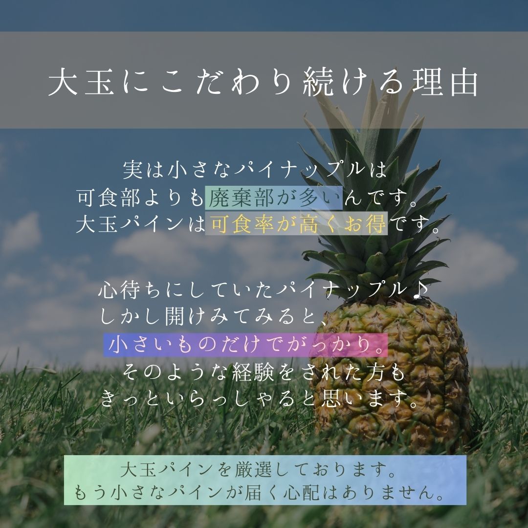 【先行予約】《2025年夏季 順次発送》石垣島産・スナックパイン、ずっしりの「大玉」2個入り　SI-25