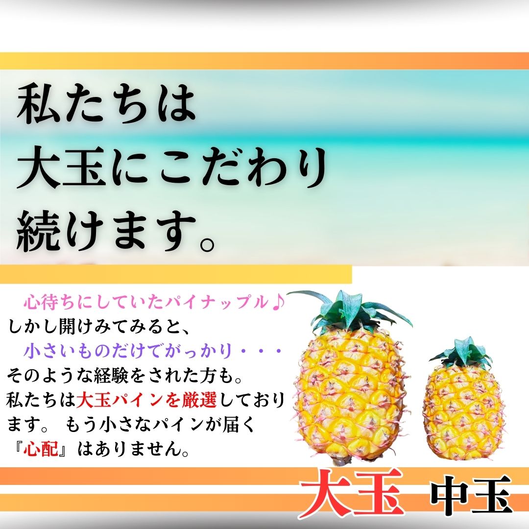 【先行予約】《2025年夏季 順次発送》夏実パイン（ハワイ種）大玉2～3個 計2.6kg　SI-47