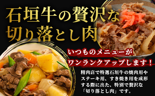 石垣牛・切り落とし 2kg（１kg×２）冷凍便【 沖縄県 石垣市 牛肉 お肉 切落し 小間切れ 牛小間切れ 】 SI-89