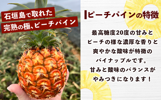 【マツコの知らない世界で絶賛！】《2025年4月以降発送》【先行予約】パイナップル好きにおすすめ！満足のパイナップル3品種定期便【 沖縄 石垣 ピーチ ホワイトココ ジュワリー パイン パイナップル 完熟 セット フルーツ デザート 食べ比べ 定期便 TV テレビ 紹介 マツコ 】 TF-36