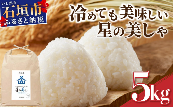 石垣島産 星の美(かい)しゃ 5kg みやぎ米屋【 日本一早い新米の産地 お米 産地直送 旬 ほしじるし 沖縄県 石垣市 送料無料 】MK-3
