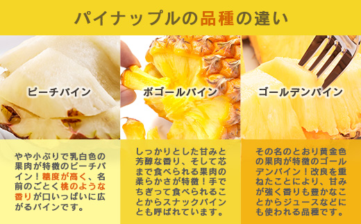 石垣島冷凍パイナップル3回定期便  EF-11-1