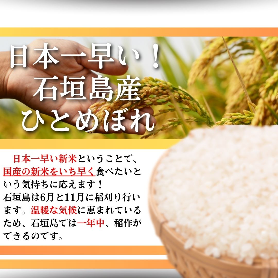 【石垣島産ひとめぼれ】日本最南端の日本一早い新米・５kg　【 沖縄県 石垣市 米 お米 新米 】SI-58