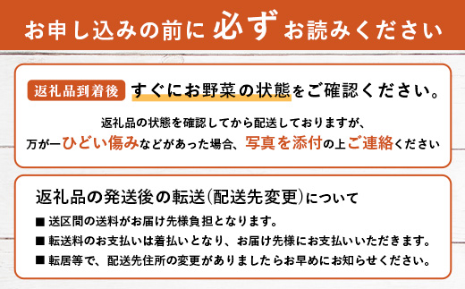 沖縄県 石垣島の野菜・フルーツBOX 1箱 ≪野菜4～5種類、フルーツ1~2種類≫ じょーとーまーさん(とても美味しい) 石垣島の野菜とフルーツの詰め合わせセットをお楽しみください！！CK-4｜沖縄 石垣島 直送 旬 果物 フルーツ 新鮮 島野菜 野菜セット 詰め合わせ CK-4