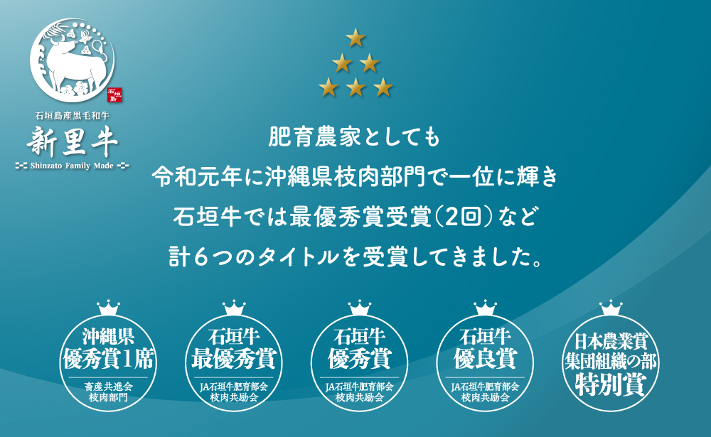 石垣島産 黒毛和牛 新里牛 どデカリブロースステーキ（不定貫200～300g×2）合計500g以上 ステーキ 焼肉 バーベキュー SZ-33