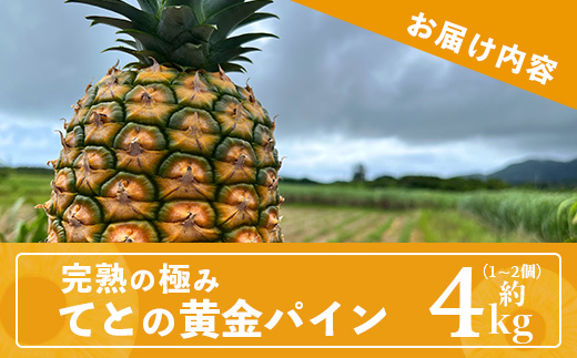 《2025年5月中旬以降順次発送》香りに溺れる！？ 完熟の極 てとの黄金パイン大玉約4kg【 沖縄 石垣 ゴールデン 黄金 パイン パイナップル 完熟 大玉 セット フルーツ デザート 】 TF-25-1