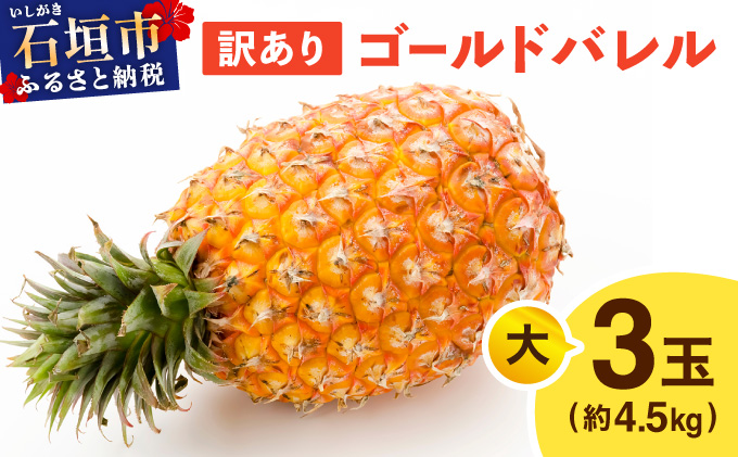 ≪5月上旬順次発送≫ 訳あり石垣島産パイナップル ゴールドバレル 大 3玉（約4.5kg） TP-20