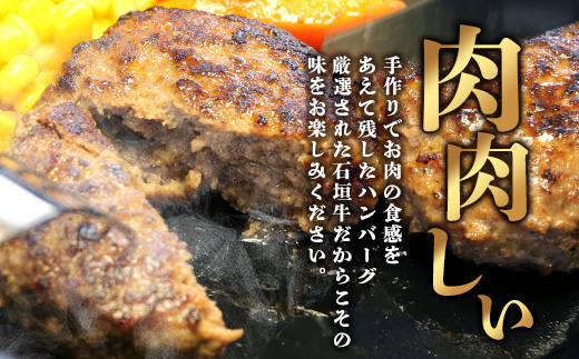 特選石垣牛100%ハンバーグ100g×3個＋特選石垣牛元卸お任せ焼肉180gセット　I-17-1