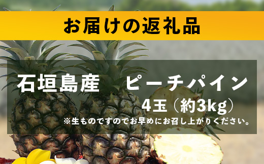 【先行予約】《2025年5月上旬頃より順次発送》石垣島産 ピーチパイン (4玉 約3㎏) 【 産地直送 沖縄 石垣 パイナップル フルーツ 】石垣さんちの石垣トロピカルファーム TP-11