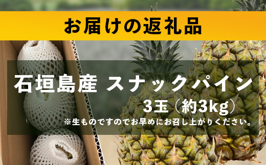 【先行予約】《2025年5月上旬頃より順次発送》石垣島産 スナックパイン (3玉 約3kg)【 産地直送 沖縄 石垣 パイナップル フルーツ 】TP-7-1