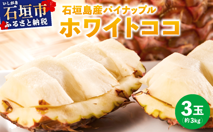 ≪6月上旬順次発送≫ 石垣島産パイナップル　ホワイトココ　3玉（約3kg）