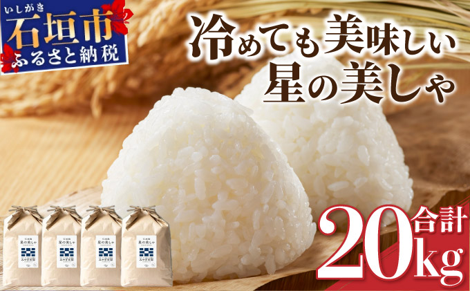 石垣島産 星の美しゃ（ほしのかいしゃ）20kg（5kg×4袋）MK-5