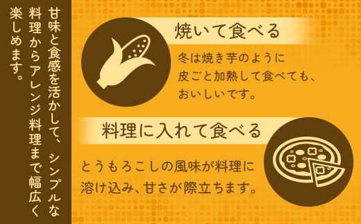 【予約受付】スイートコーン すいーとかよちゃんファームのとうもろこし 10本《2025年1月中旬～5月末順次発送予定》【 沖縄 石垣 野菜 やさい コーン 甘い トウモロコシ コーン 産地直送 】KF-1