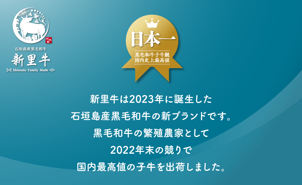 石垣島産 黒毛和牛 新里牛 どデカリブロースステーキ（不定貫200～300g×2）合計500g以上 ステーキ 焼肉 バーベキュー SZ-33