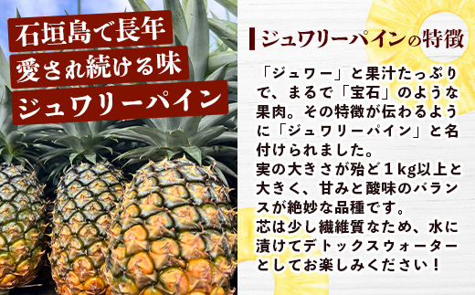 【予約受付】《2025年5月下旬～7月中旬発送》最高糖度18度！？ 完熟の極 石垣島産ジュワリーパイン 【 沖縄県 石垣市 石垣島 完熟 パイン パイナップル ジュワリー 予約受付 】TF-16-1