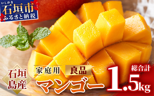 【予約受付】 石垣島産 マンゴー 家庭用（良品）（アーウィン種）3玉～5玉入り1箱（1.5kg×1箱）合計約1.5kg 《2025年6月中旬より順次発送》AE-11