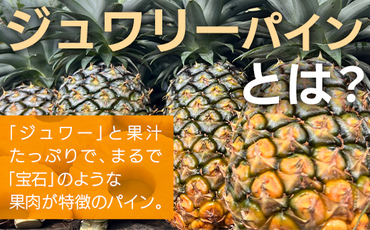 《2025年5月以降順次発送》完熟ジュワリーパイン果汁100％！！の濃厚ジュース300ml×3パックをお届け！【 沖縄県 石垣 完熟 パイン パイナップル ジュワリー 果汁 100％ 】TF-42