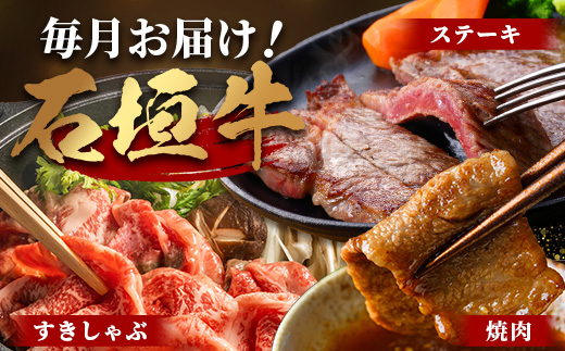 【全2回 定期便E】 石垣牛 ステーキ＆焼肉特盛セット・すきしゃぶ800g＆焼肉特盛セット　計3.2kg（いしなぎ屋）【 特選肉 肉 高級 黒毛和牛 和牛 牛 】AB-33