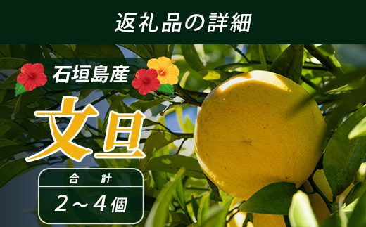 ææŠïŒïŒãïŒåïŒèŸ²è¬ã䜿ãããæ£®ã®ãããªçã§æ œå¹ããç¹å¥ãªæç© ïŒ10æã3æé 次çºéïŒã æ²çž ç³å£å³¶ ç³å£å³¶ç£ ãã«ãŒã æç© 蟲è¬äžäœ¿çš é¢å³¶ã®ãããã® æ²çžãããã®ç³å£å³¶ ãOI-19-2