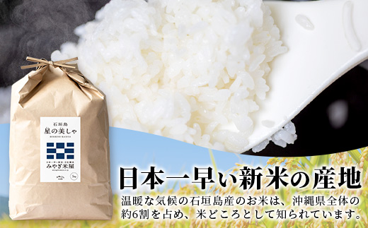 3カ月連続お届け 令和6年産 石垣島産 星の美しゃ（ほしのかいしゃ）15kg（5kg×3回）MK-6