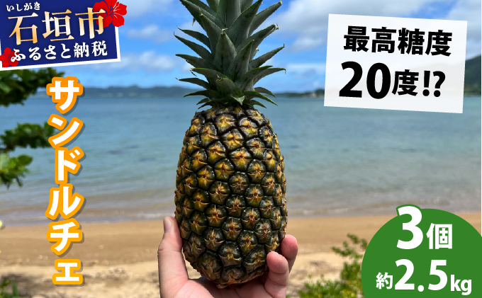 【先行予約2026年6月下旬頃から順次発送】最高糖度20度！？クリーミーな味わいが魅力の石垣島産完熟サンドルチェ 3個セット