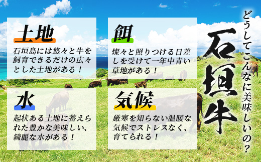 石垣牛 100% 極めハンバーグ 150g×5個 ≪肉職人が作ったこだわりハンバーグ≫ 【石垣牛 沖縄県 石垣市 石垣島 牛肉 牛 肉 黒毛和牛】 TM-5