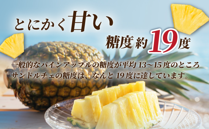 ãå
è¡äºçŽãã2025幎å€å£ é æ¬¡çºéããèš³ãããç³å£å³¶ç£ ãµã³ãã«ãã§ãã€ã³ çŽ3.5ã4kgãçãæé«ãã€ã³ã®ãèš³ãããã®å€§å°æ··åã»ãããSI-28