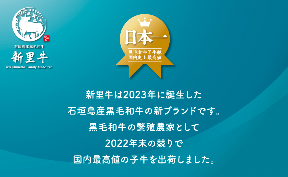 石垣島産 黒毛和牛 新里牛 リブロースステーキ（200g×2）合計400g SZ-29