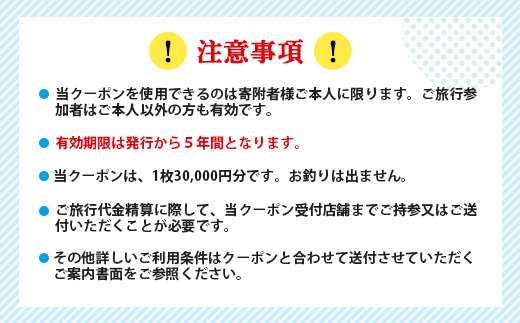 日本旅行　地域限定旅行クーポン【30,000円分】 NR-1