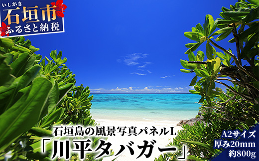 NN-2 石垣島の風景 写真パネルL（川平タバガー）