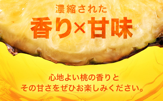 【予約受付】ピーチ＆ポコットパイン食べ比べ 1ｋｇ（計２玉）お勧め♪川平パイン《2025年5月～7月頃順次発送》KN-5