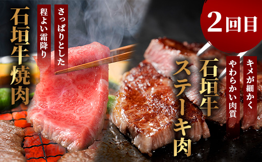 【全2回 定期便D】 石垣牛 すきしゃぶ＆焼肉セット・ステーキ＆焼肉セット　計2kg（いしなぎ屋）【 特選肉 肉 高級 黒毛和牛 和牛 牛 】AB-32