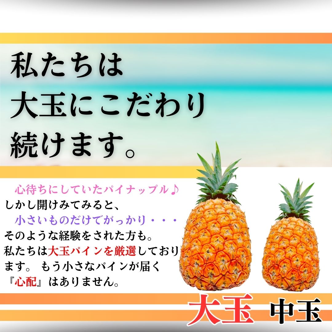 【先行予約】《2025年夏季 順次発送》ゴールドバレルパイン大玉２個入り 計3.4kg　SI-39