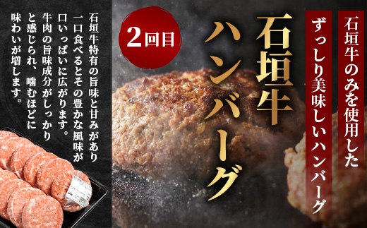 【全3回 定期便C】 石垣牛　切り落としスライス・ハンバーグ・肩ロースすきしゃぶ　計3.1kg（いしなぎ屋）【 特選肉 肉 高級 黒毛和牛 和牛 牛 】AB-31