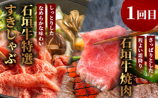 【全2回 定期便D】 石垣牛 すきしゃぶ＆焼肉セット・ステーキ＆焼肉セット　計2kg（いしなぎ屋）【 特選肉 肉 高級 黒毛和牛 和牛 牛 】AB-32