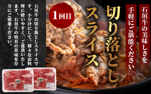 【全3回 定期便B】 石垣牛　切り落としスライス・ハンバーグ・肩ロースすきしゃぶ　計1.67kg（いしなぎ屋）【 特選肉 肉 高級 黒毛和牛 和牛 牛 】AB-30