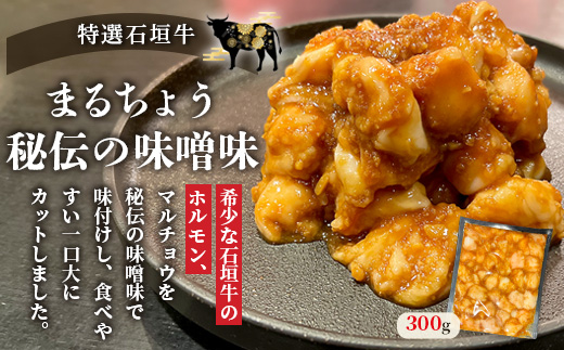 希少な特選石垣牛のホルモンをご家庭で！！マルチョウ300g×2パック 秘伝の味噌味とプレーンの食べ比べセット【 沖縄 石垣 和牛 石垣牛 希少 特選 肉 味噌 みそ 味付 ホルモン マルチョウ 冷凍 小分け 】IM-18