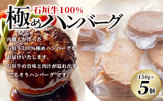 石垣牛 100% 極めハンバーグ 150g×5個 ≪肉職人が作ったこだわりハンバーグ≫ 【石垣牛 沖縄県 石垣市 石垣島 牛肉 牛 肉 黒毛和牛】 TM-5