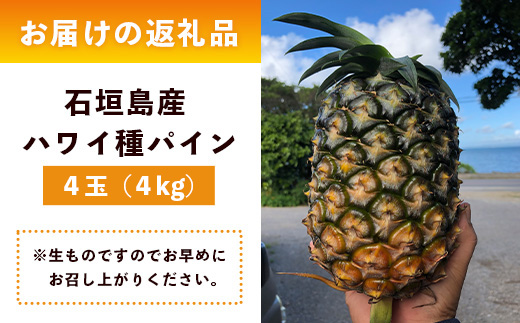 【先行予約】《2025年6月上旬頃より順次発送》石垣島産 ハワイ種 パイン (4玉 約4㎏) 【 産地直送 沖縄 石垣 パイナップル フルーツ 】石垣さんちの石垣トロピカルファーム TP-5