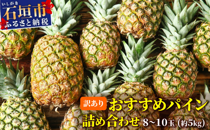 訳あり 石垣さんちのおすすめパイン詰め合わせ　8～10玉 (約5kg)《2026年4月中旬から順次発送》 TP-21